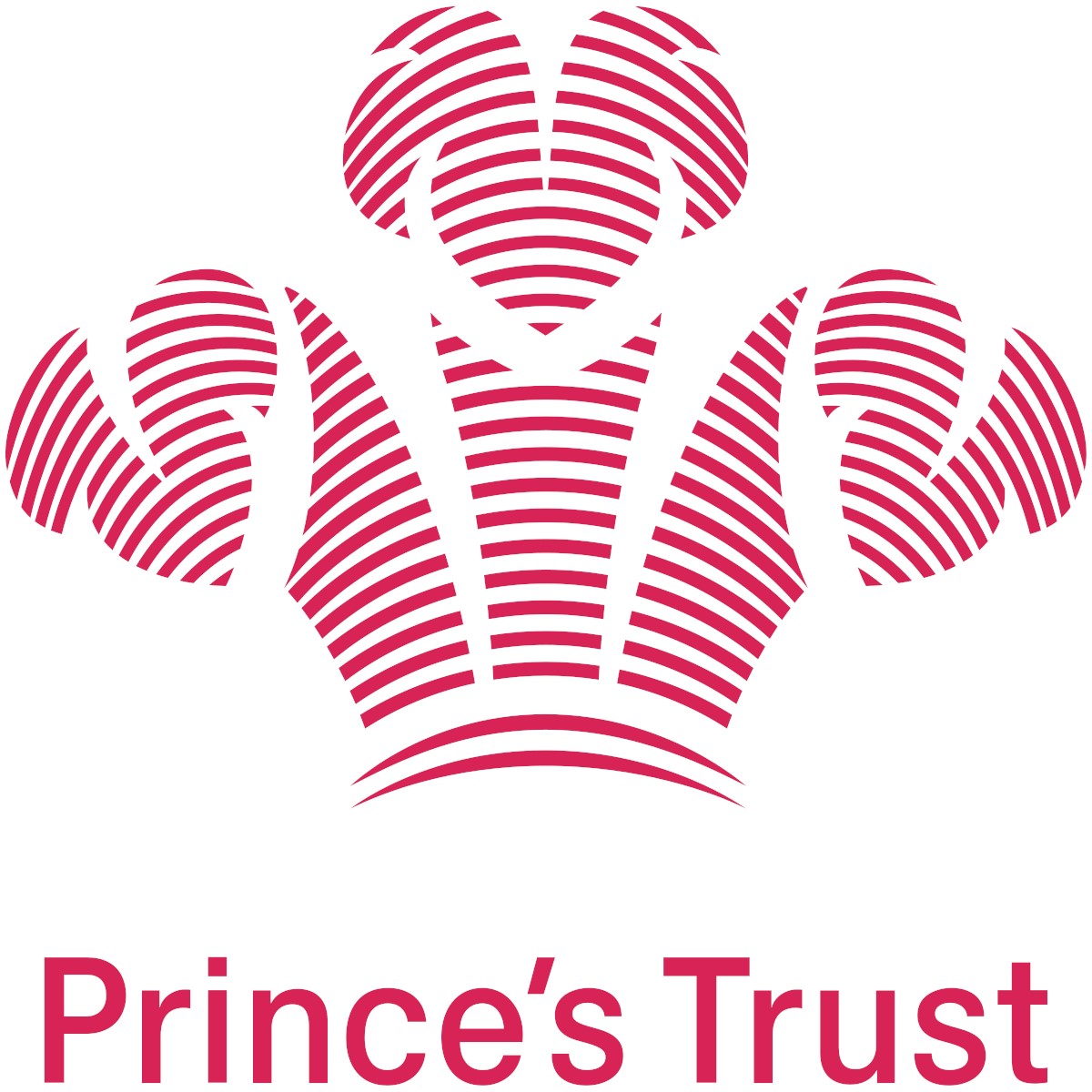 Princes Trust - 16-24 information